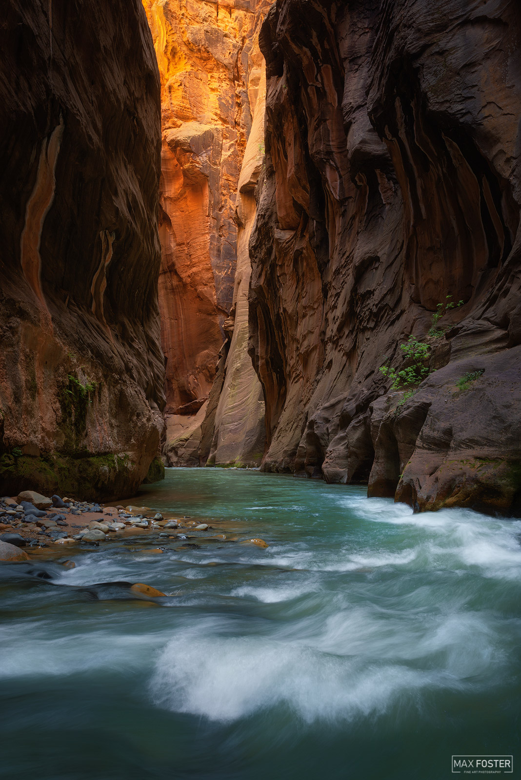Wall Street The Narrows Zion National Park Max Foster Photography